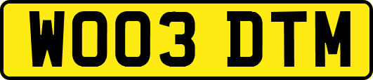 WO03DTM