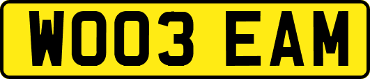 WO03EAM