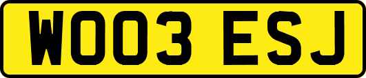 WO03ESJ