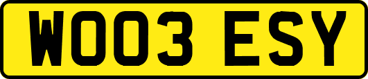 WO03ESY