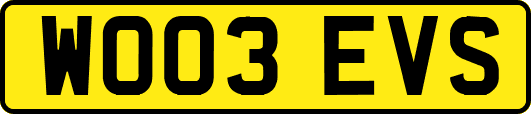 WO03EVS