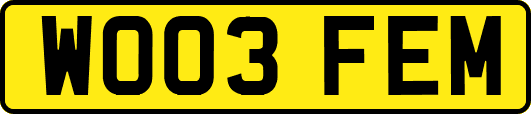 WO03FEM