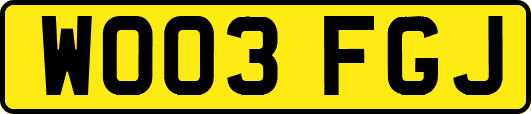 WO03FGJ