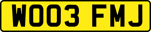 WO03FMJ