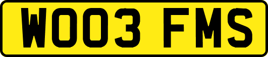 WO03FMS