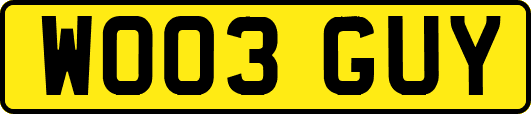 WO03GUY