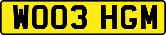 WO03HGM
