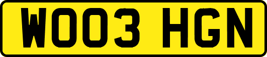 WO03HGN