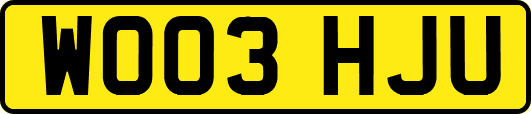 WO03HJU