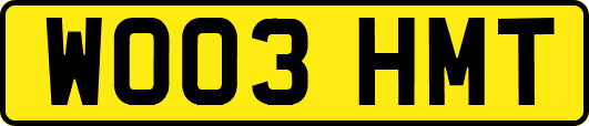 WO03HMT
