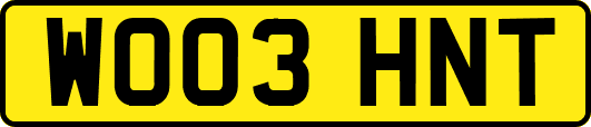 WO03HNT