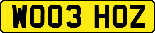 WO03HOZ