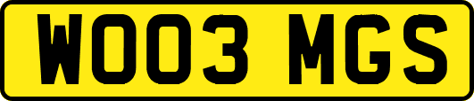 WO03MGS