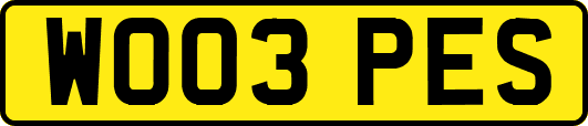 WO03PES
