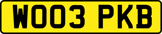 WO03PKB
