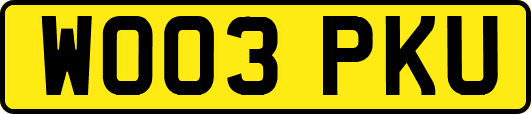 WO03PKU