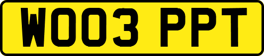 WO03PPT
