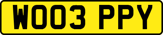 WO03PPY