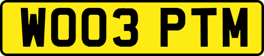 WO03PTM