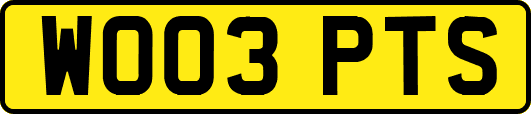 WO03PTS
