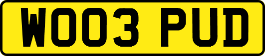 WO03PUD