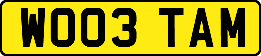 WO03TAM