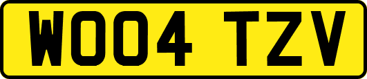 WO04TZV