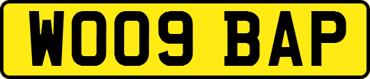 WO09BAP