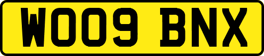WO09BNX