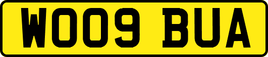 WO09BUA