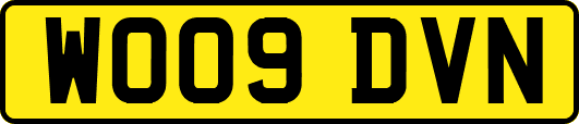 WO09DVN