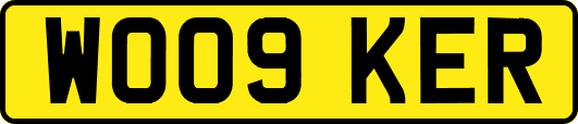 WO09KER