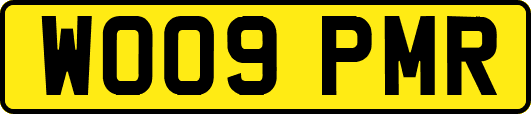 WO09PMR