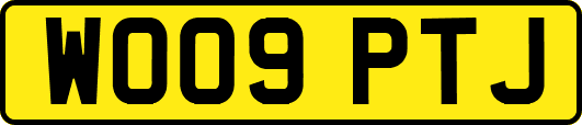 WO09PTJ