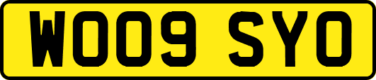 WO09SYO