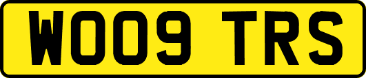 WO09TRS