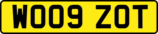 WO09ZOT