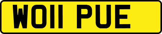 WO11PUE