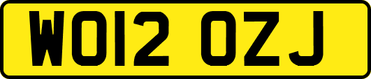 WO12OZJ