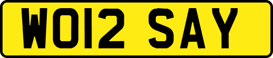 WO12SAY