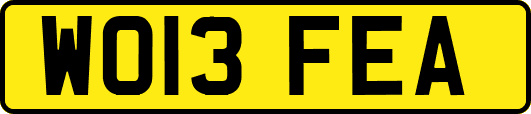 WO13FEA