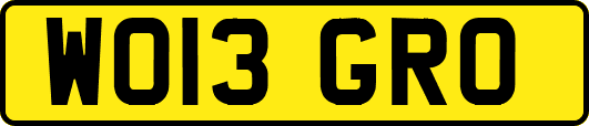 WO13GRO
