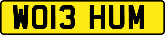WO13HUM