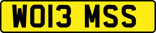 WO13MSS