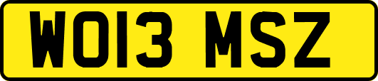 WO13MSZ