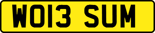 WO13SUM
