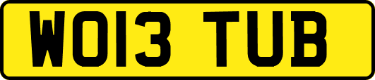 WO13TUB