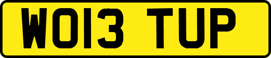 WO13TUP