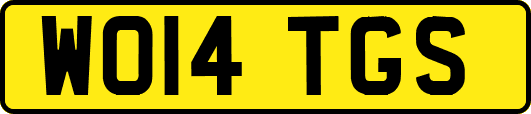 WO14TGS