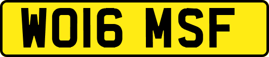 WO16MSF